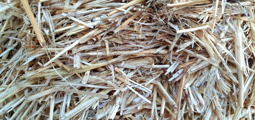 Hay background and texture. Straw, hay texture, dry grass close-up. Straw background. Insulation is natural material straw. © Nataly G