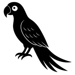 macaw bird black silhouette vector with white background. Wild animal vector