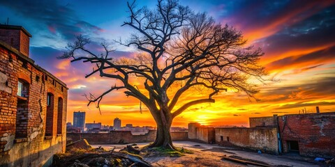 Silhouette of Dead Tree Against Urban Decay - Atmospheric Urban Exploration Stock Photo