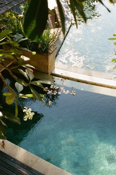 Tranquil Garden Oasis With Serene Water Features