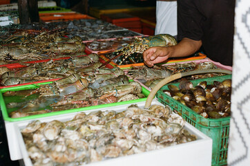 Twilight at the Vibrant Seafood Market
