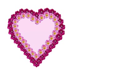 pink heart made of flowers