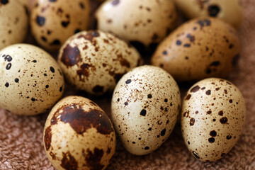 Few amount of quail eggs in small pile on brown towel background
