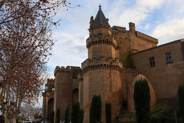 Castillo Medieval de Olite
