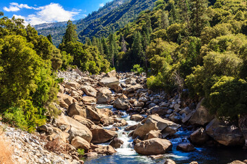 A rocky river with a waterfall and trees in the background
