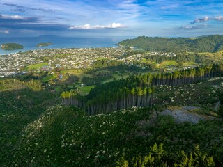 High-angle view of a coastal town nestled beside a lush forest. Reforestation efforts are evident in the cleared area. , Whangamata, Coromandel Peninsula, NZ