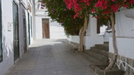 Fototapeta premium Blurred alleyway in lanzarote with vibrant pink flowers and white buildings in outdoor setting, spain, canary islands