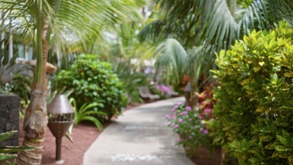 Fototapeta premium Blurred tropical resort path with lush green foliage and defocused background, evoking relaxation and vacation vibes.