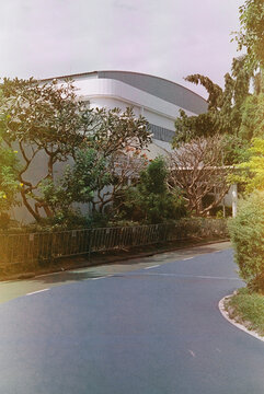 Expired analog film and X-pro photography. Building, plant, path scene