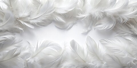 Soft White Feathers: Horizontal Frame, Isolated Background - High-Resolution Stock Photo