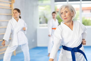 Group of female karatekas practicing karate technique in gym © JackF