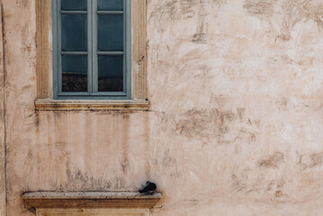 Window with blue frame and small bird on a ledge