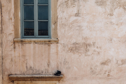 Window with blue frame and small bird on a ledge