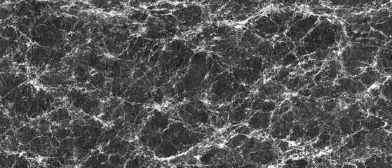 Intricate black and white marble overlay texture with veining and depth