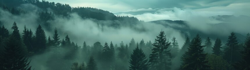 Amazing fog landscape in black forest panorama banner long