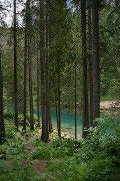 Enchanting Forest and Turquoise Lake in the Dolomites