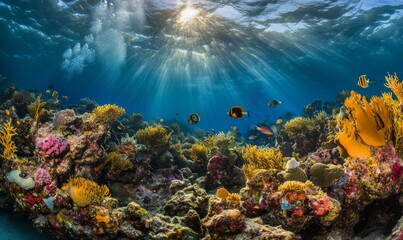 A vibrant kelp forest underwater, showcasing marine biodiversity and a serene dive spot.