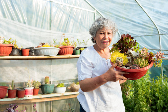 Portrait of Senior Woman Holding Plants Pot