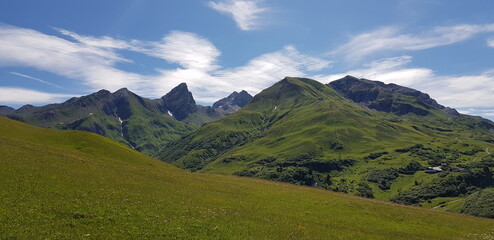 Green Mountain Slopes with Coniferous Forest and Blue Sky