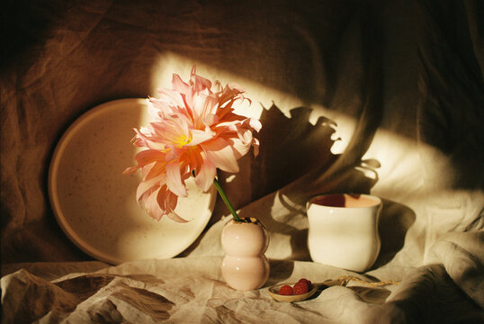 A still life featuring a flower in a home setting