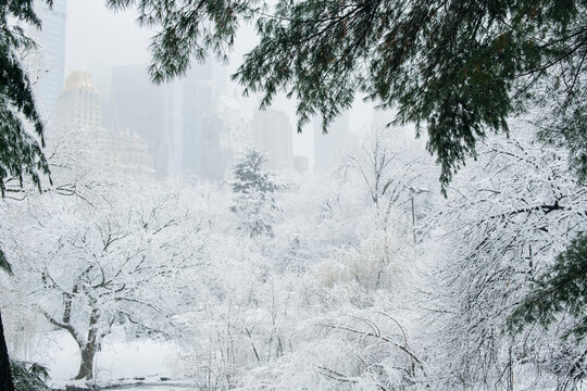Central Park in snowstorm