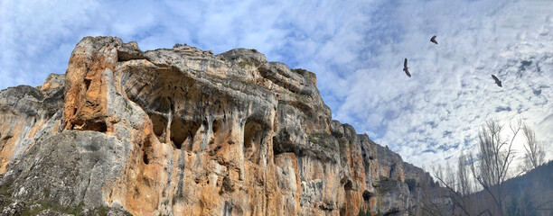 panoramic image of the vertical limestone walls of the Canyon of Rio Lobos, with its vulture nests,...