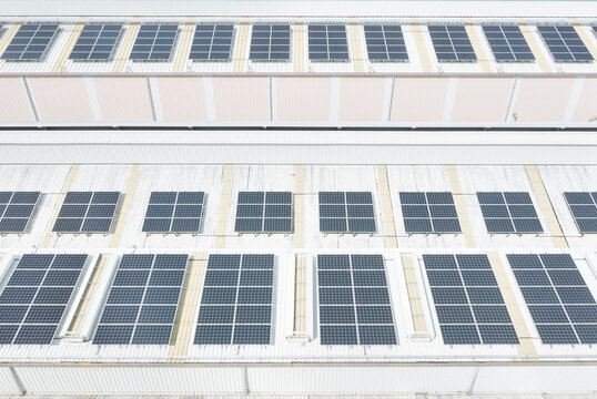 Rooftop solar panels arranged in neat rows for solar energy prod