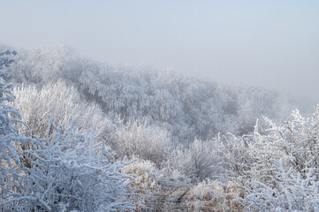 Winter landscape. Frost morning in mountains.