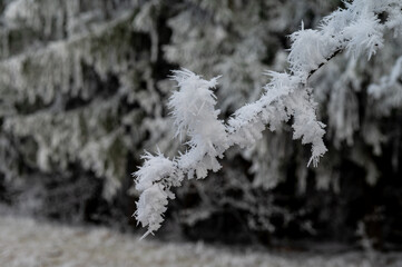 Winter landscape. Frost morning in mountains.