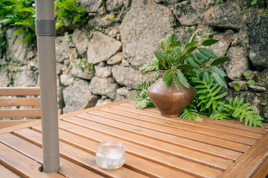 Outdoor Table with Vase and Foliage

