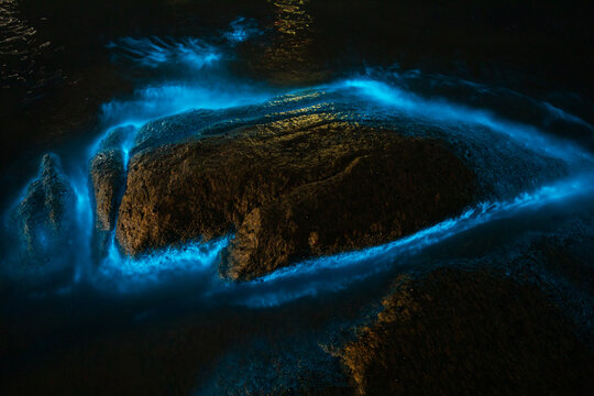 Bioluminescence from micro marine organisms. Shallow water on rocks. 