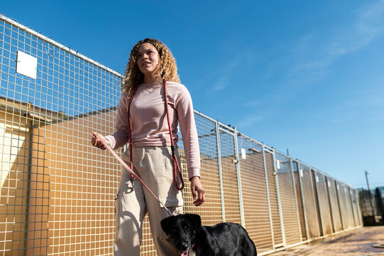 Helper walking stray dog 
