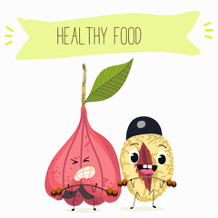 Ackee (Blighia sapida), or achee, medicinal plant, funny fruit cute cheerful characters. Vector hand drawn illistration.