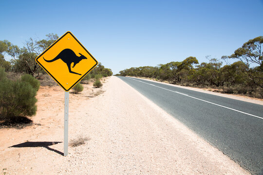 Kangaroo warning sign next to a road. Morgan. South Australia.