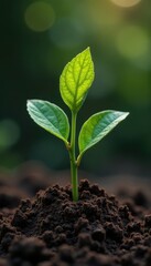 Child & adult planting sapling in dark earth Vintage tone , sustainability, culture