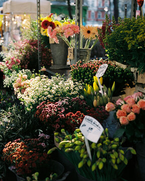 Blooming Street Market