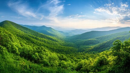 Naklejka premium A lush view of green mountains with dense forests covering the slopes, rolling hills, and a serene blue sky overhead.