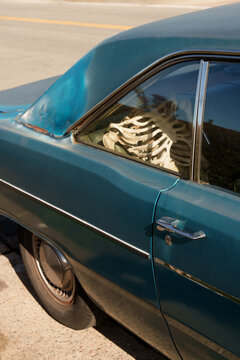 Skeleton in the back of the car