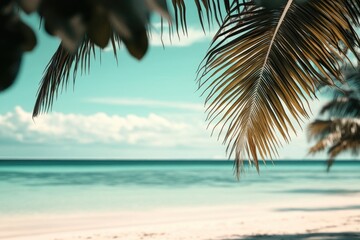 Obraz premium A serene coastal scene with a single palm tree standing tall in the foreground