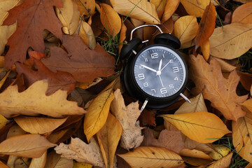 Alarm clock on dry leaves, top view. Space for text