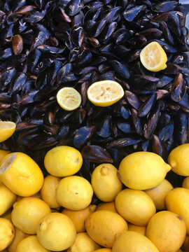Golden Lemons and Midnight Shells: A Seafood Symphony