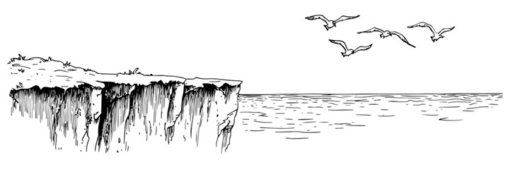 hand-drawn cliff by the ocean with flying birds in black and white © Kaz