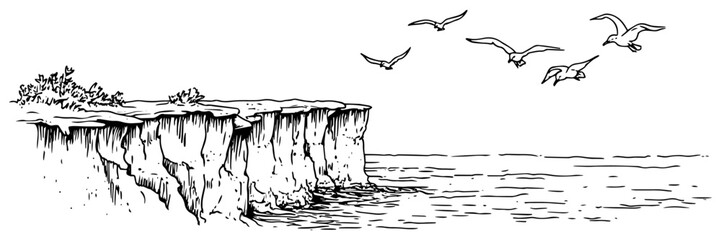 hand-drawn seaside cliff with birds flying above the ocean in black and white © Kaz