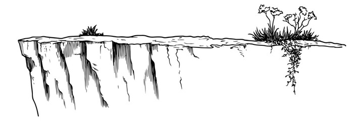 hand-drawn cliff edge with sparse vegetation and hanging vines in black and white