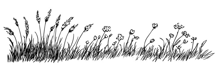 wild grass and flowers in black outline style
