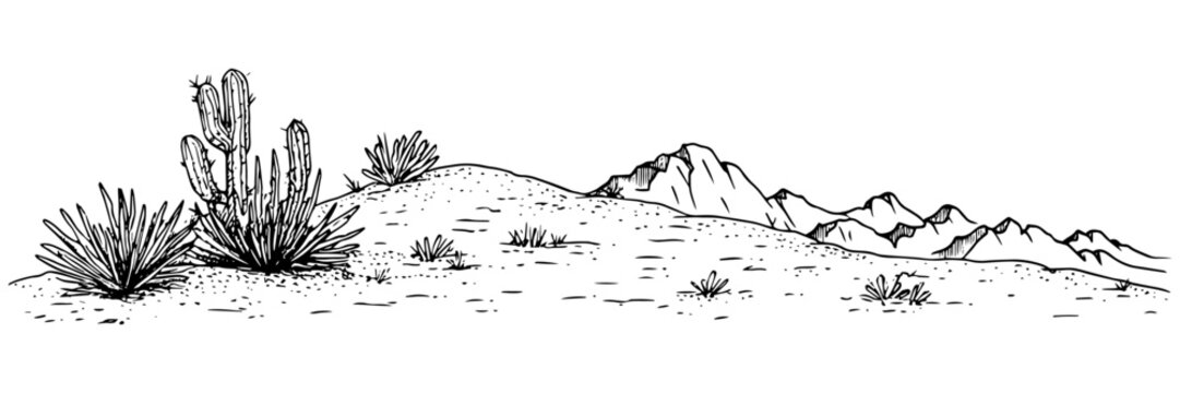desert landscape with cacti and distant mountains in black outline style