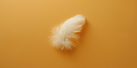 Explore the beauty of simplicity with our minimalist feather design, perfect for poultry lovers.