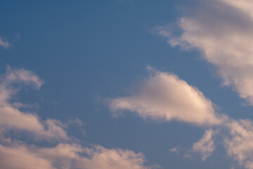 Obraz premium Soft fluffy clouds drift across a serene blue sky bathed in the warm glow of the setting sun