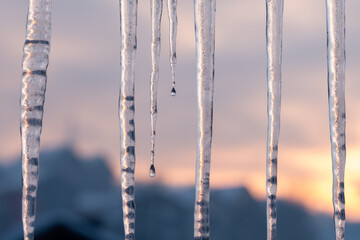 Icicles glistening in the sunset Winter's beauty captured