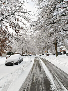 Winter storm in Lexington, Kentucky in January 2025.